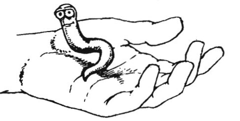 Authentic Cultivation: Soil and Medium Thoughts