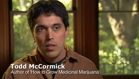 THE UNION: The Business Behind Getting High