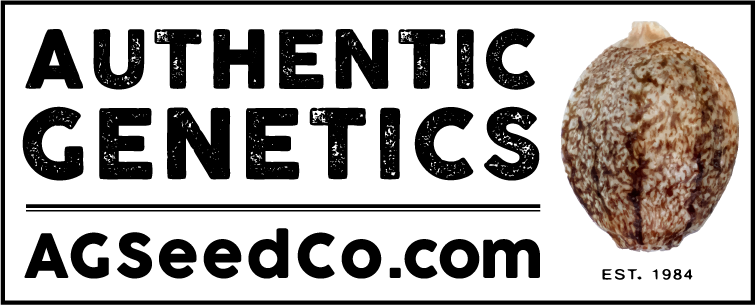 Authentic Genetics Seed Company – Todd McCormick