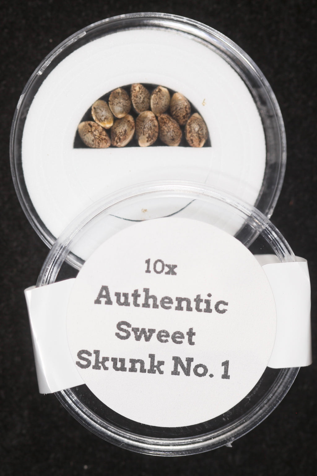 Authentic Sweet Skunk #1 IBL (Inbred Line) Regular Seeds – Todd McCormick