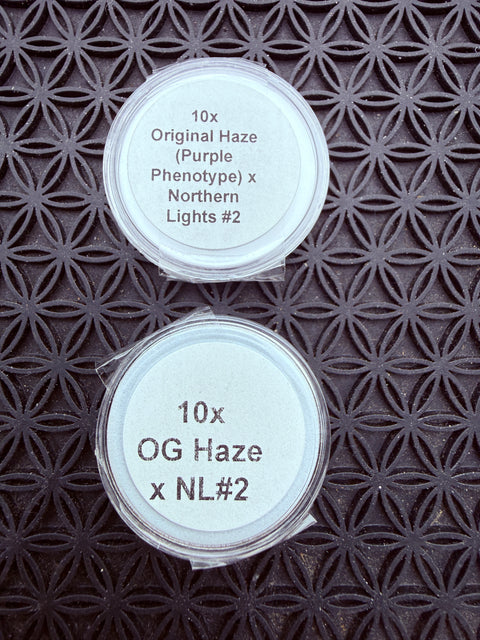 Two Packs of Haze hybrids for $50.00