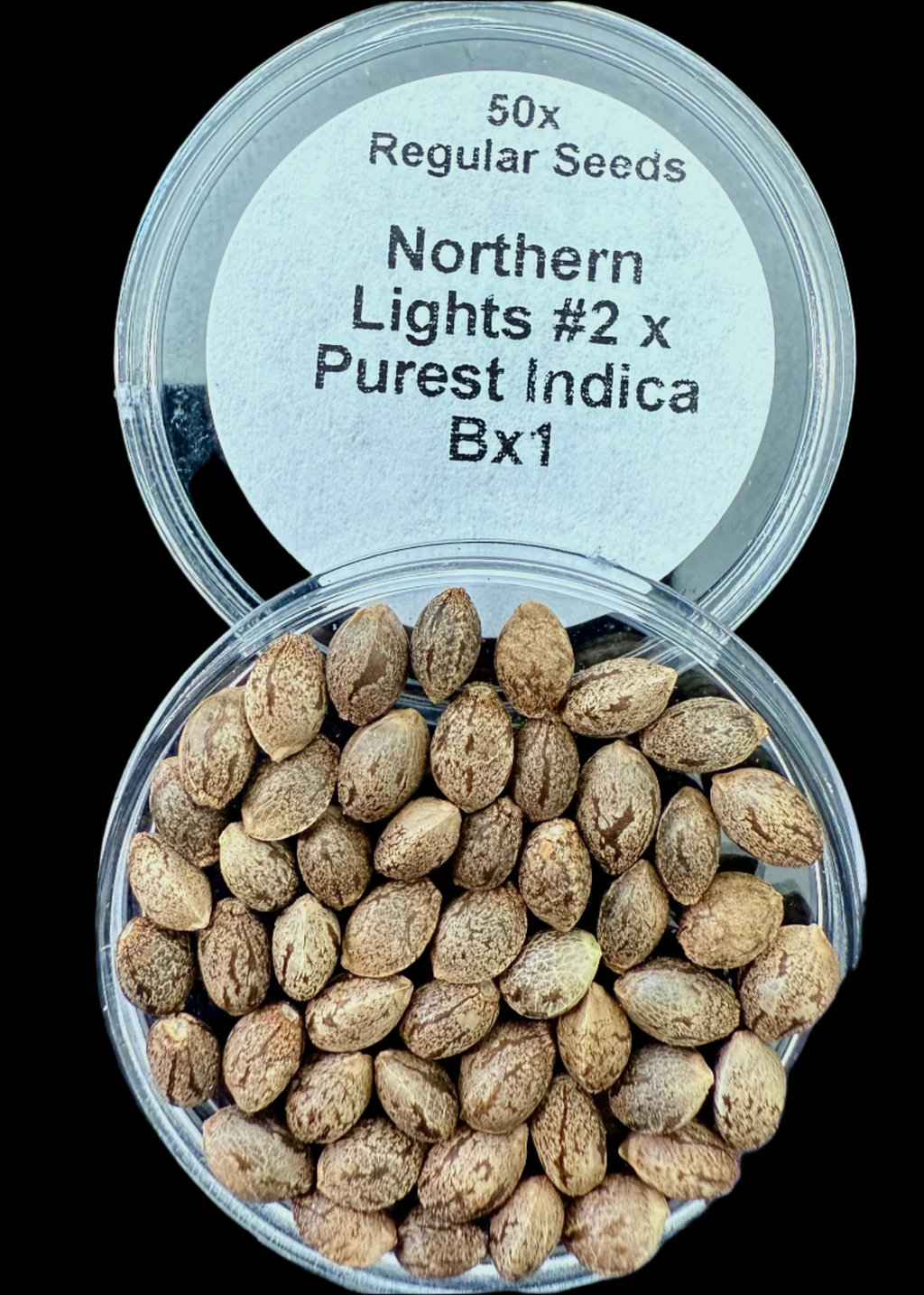 Northern Lights 2 x Purest Indica Seeds Bx1 50x Seeds for 100.00