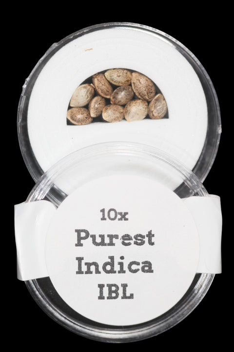 Purest Indica IBL seeds for sale at agseedco.com
