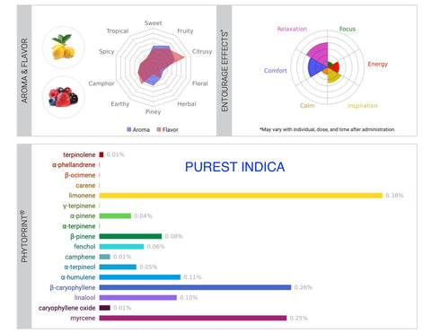 Purest Indica Afghan Seeds AGSeedCo.com