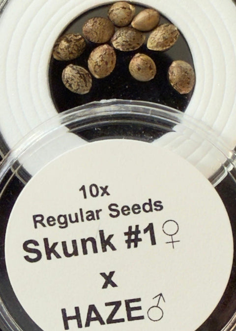 Skunk No.1 x Original Haze F1