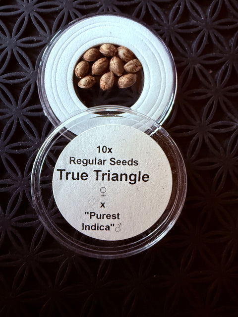 True Triangle x "Purest Indica"