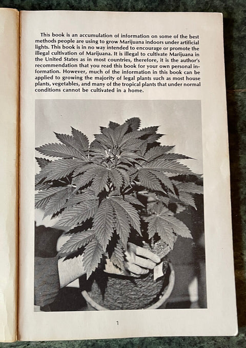 The "Purest Indica" is the original variety and backbone of all of the Northern Lights hybrids. Purest Indica Afghan Seeds AGSeedCo.com