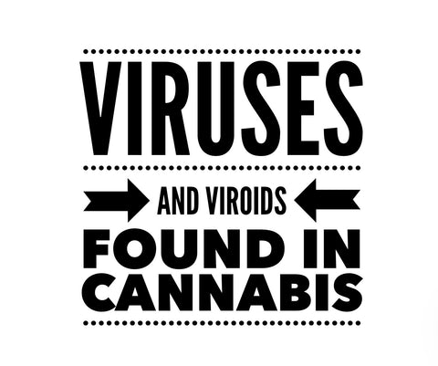 What viruses are found in Cannabis?