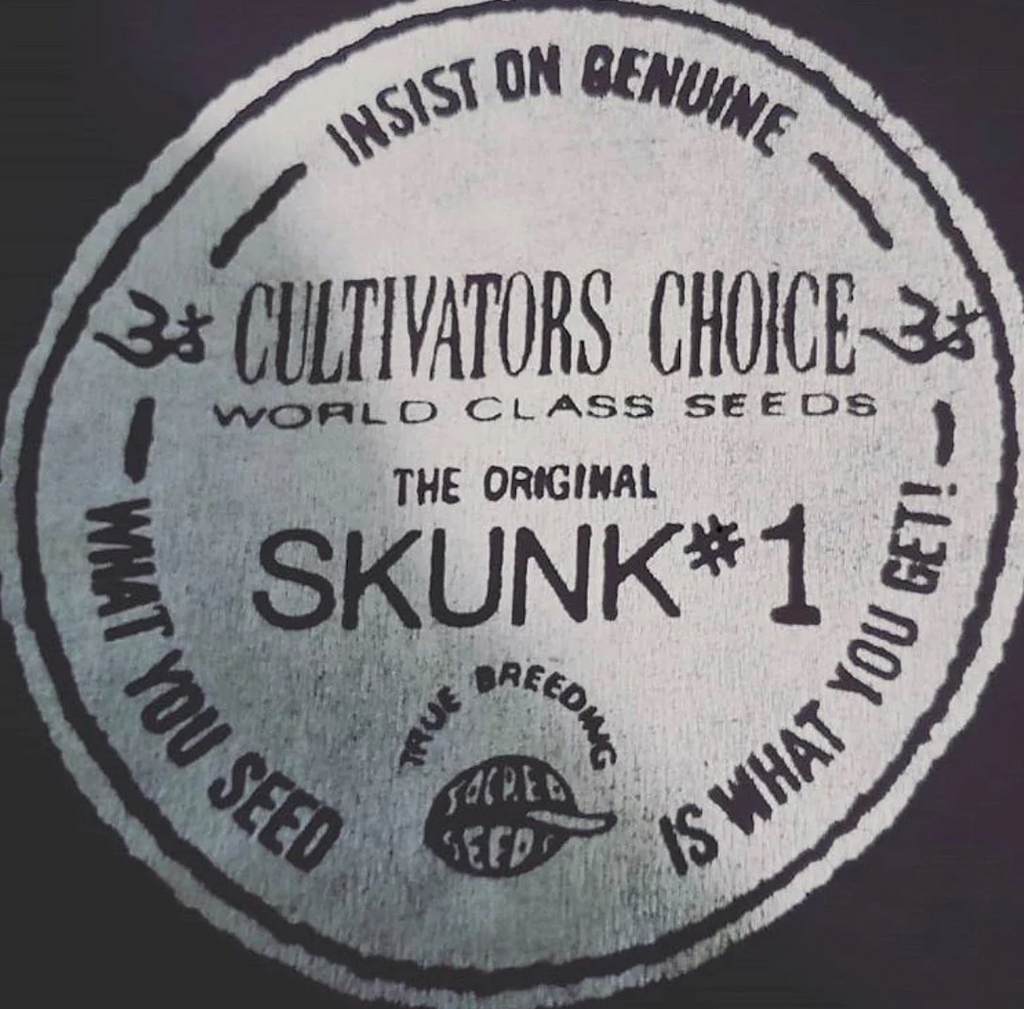 Authentic Genetics What is Skunk Cannabis? – Todd McCormick