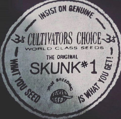 Old school strains like Skunk #1 are iconic