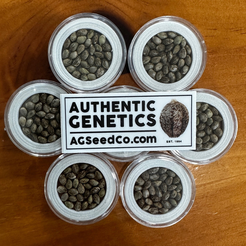 Authentic Genetics How is Authentic Genetics different from other seed companies? – Todd ...