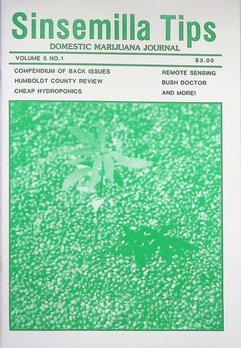 1984 Sinsemilla Tips David Watson