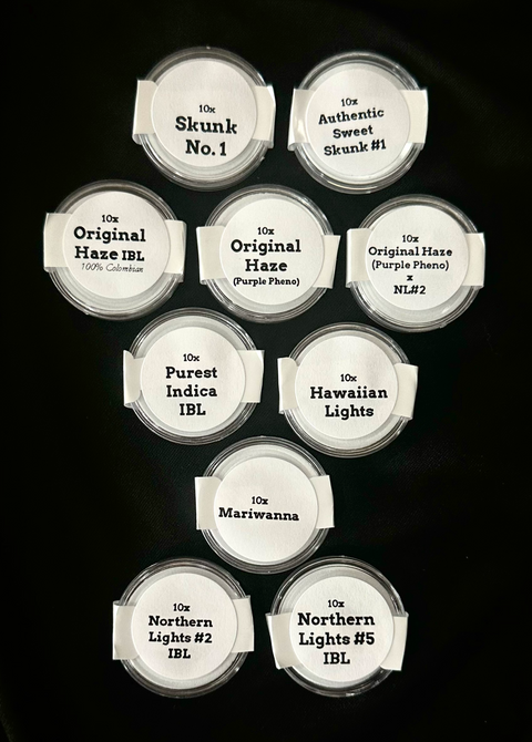 Authentic Genetics breeder pack AGSeedCo.com - Skunk #1, Original Haze, Haze, Northern Lights, Marijuana, Mariwanna