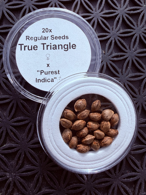 20x True Triangle x "Purest Indica" 4/20 SPECIAL