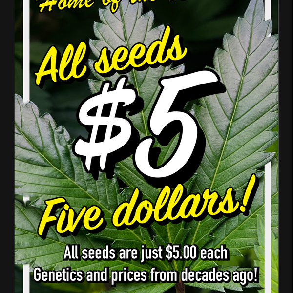 plant seeds price ALL SEEDS JUST $5.00! – Todd McCormick