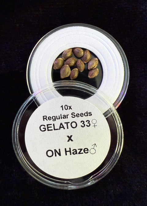 Gelato 33 seeds for sale at agseedco.com