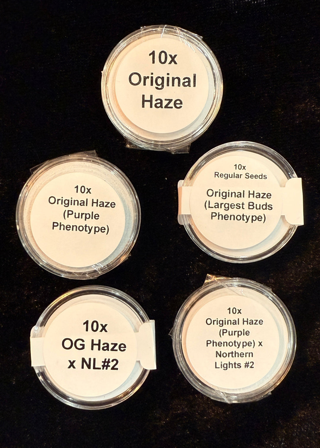 Haze Bundle - 50 Seeds for $175.00 – Todd McCormick