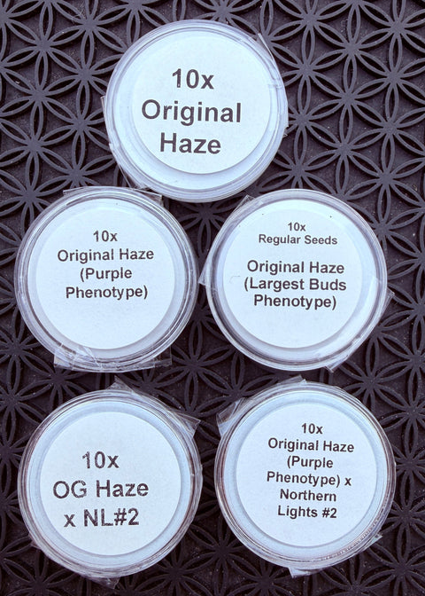 Haze Seeds at agseedco.com