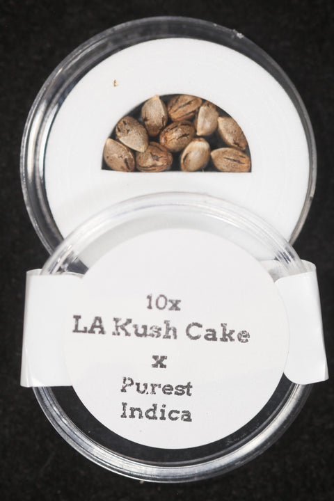 These seeds of LA Kush crossed with Purest Indica Cannabis Seeds for sale at agseedco.com