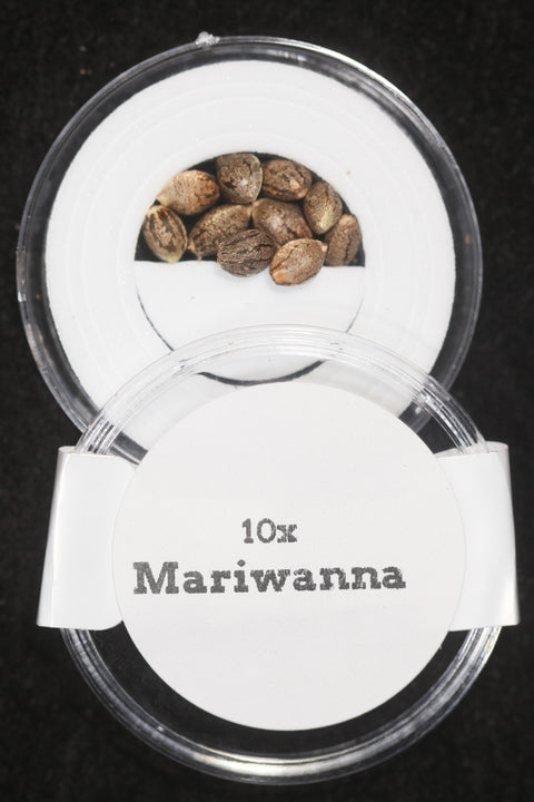 Marijuana cannabis seeds for sale at agseedco.com