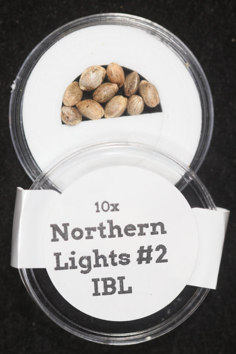 Northern Lights #2 Seeds for sale at agseedco.com