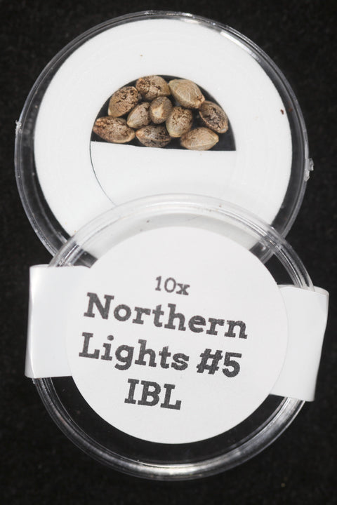 Northern Lights #5 seeds for sale at agseedco.com