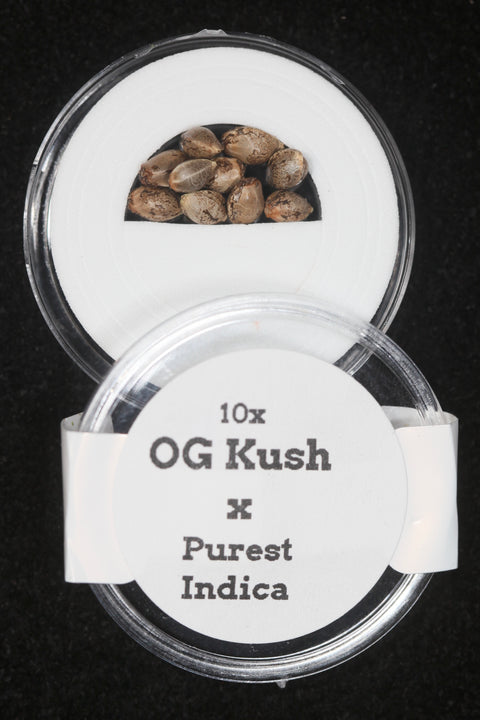 OG Kush and Purest Indica cannabis seeds for sale at agseedco.com