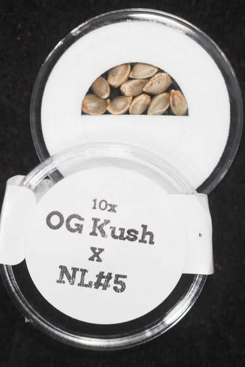 OG Kush and Northern Lights NL seeds for sale at agseedco.com