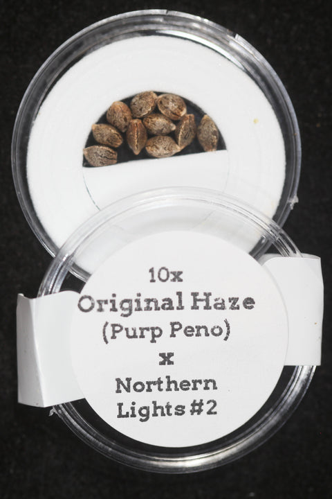 Purple Haze and Northern Lights seeds for sale at agseedco.com