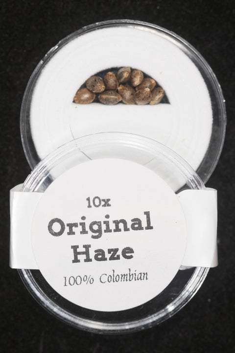 Original Haze Colombian seeds for sale at agseedco.com