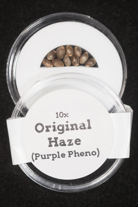 Purple Haze seeds for sale at agseedco.com