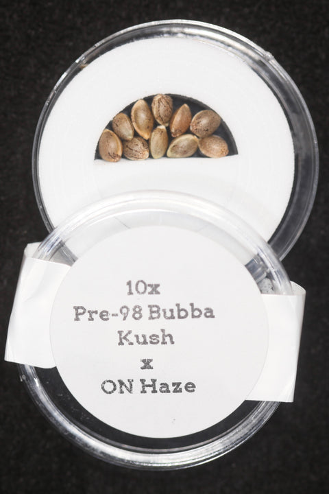 Pre 98 Bubba Kush and Haze cannabis marijuana seeds for sale at agseedco.com