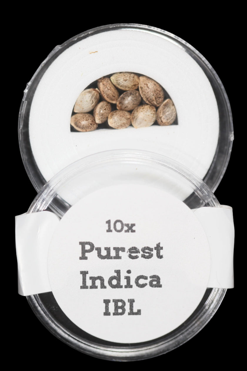 Authentic Genetics Authentic Genetics Seed Company – Todd McCormick