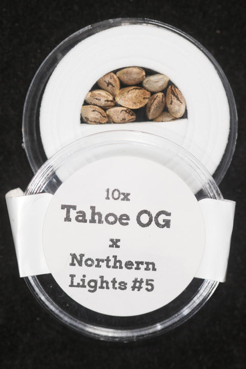 Tahoe OG Kush and Northern Lights cannabis seeds  for sale at agseedco.com