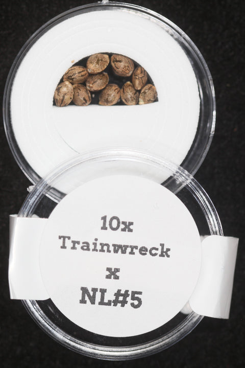 Trainwreck and NL Cannabis marijuana seeds for sale at agseedco.com