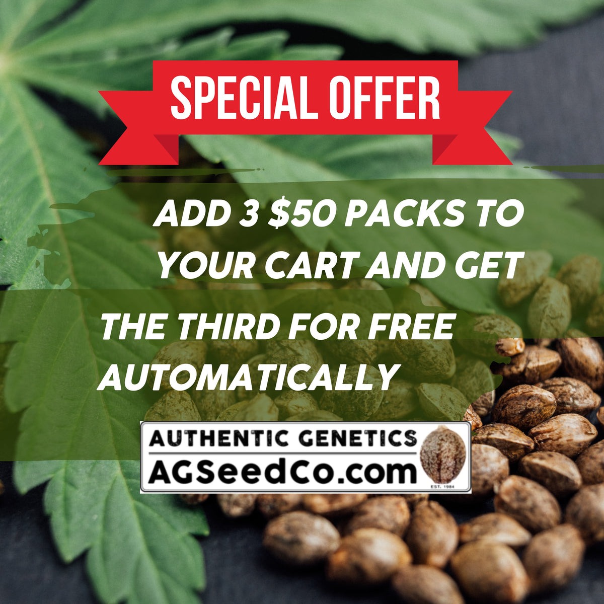 Authentic Genetics Authentic Genetics Seed Company – Todd McCormick