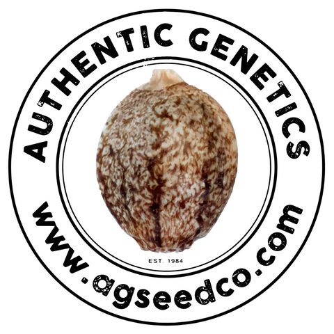 Cannabis marijuana seeds for sale at agseedco.com